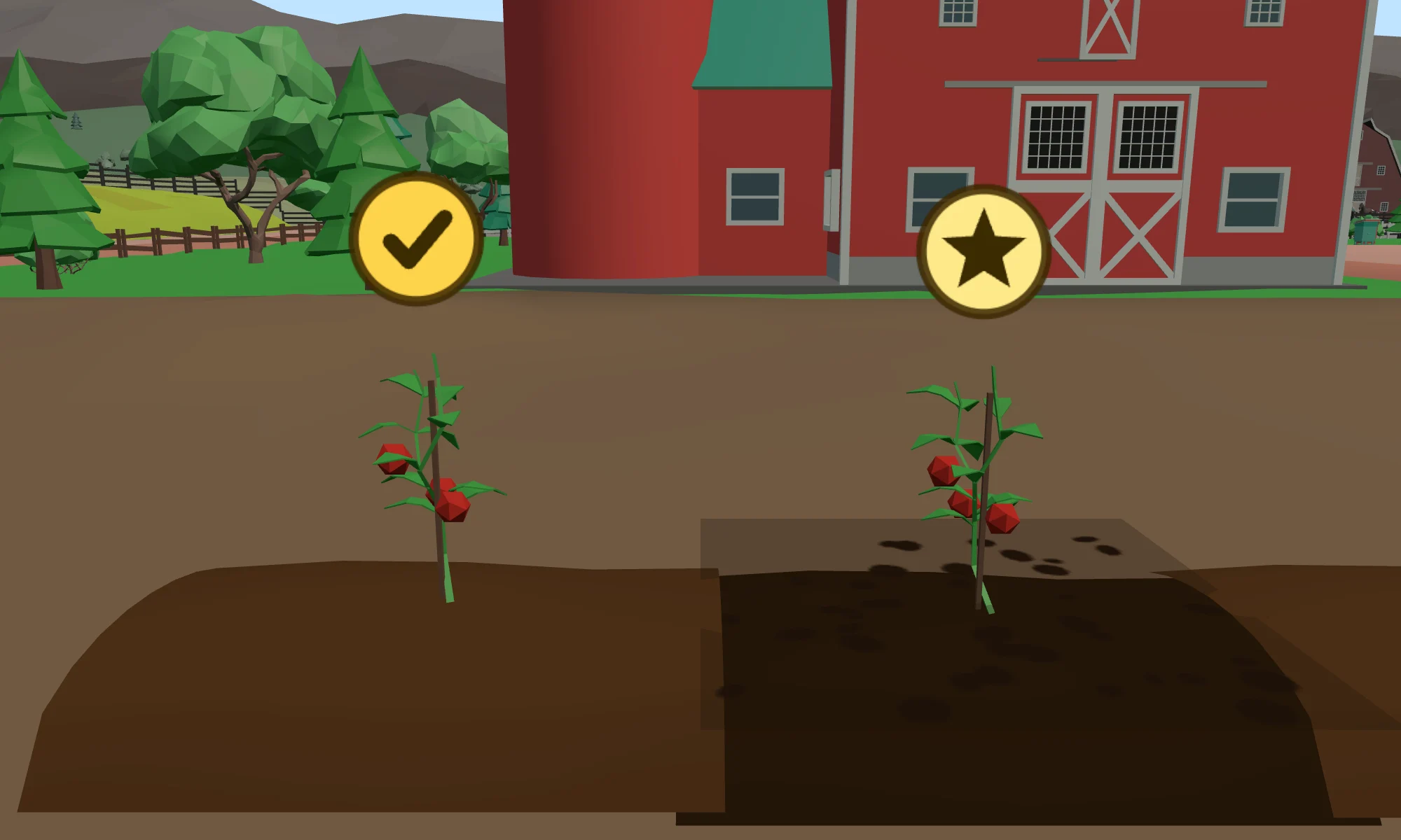 Two ripe tomato plants side by side in the field, the left one marked with a tick and the right one with a star.